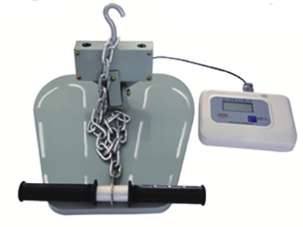 Back Strength Meter (Electronic Display).jpg