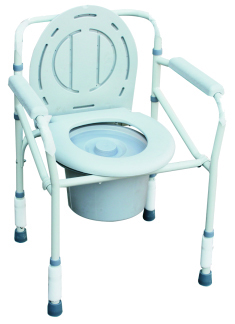 Potty Chair.jpg